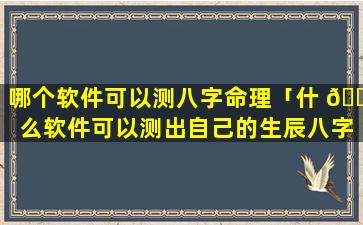 哪个软件可以测八字命理「什 🌹 么软件可以测出自己的生辰八字」